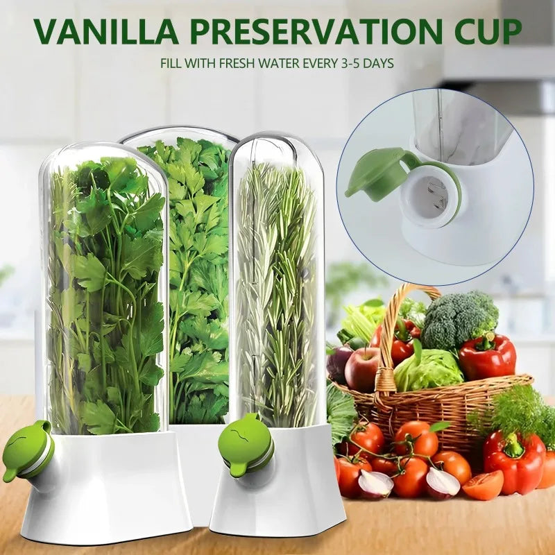 Cross-border Vanilla Vegetable Fresh-keeping Box Dust-proof Anti-pressure Environmental Protection Fresh-keeping Device Creative