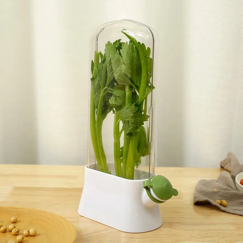 Cross-border Vanilla Vegetable Fresh-keeping Box Dust-proof Anti-pressure Environmental Protection Fresh-keeping Device Creative