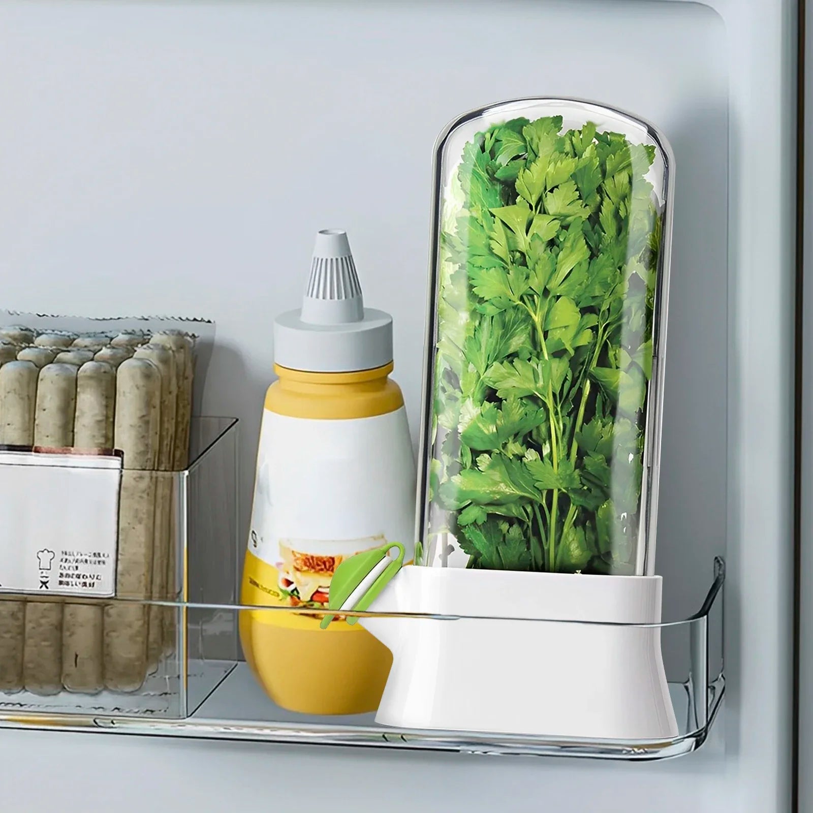 Cross-border Vanilla Vegetable Fresh-keeping Box Dust-proof Anti-pressure Environmental Protection Fresh-keeping Device Creative
