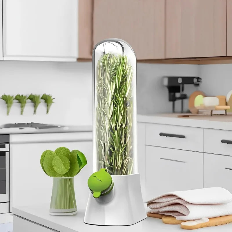 Cross-border Vanilla Vegetable Fresh-keeping Box Dust-proof Anti-pressure Environmental Protection Fresh-keeping Device Creative