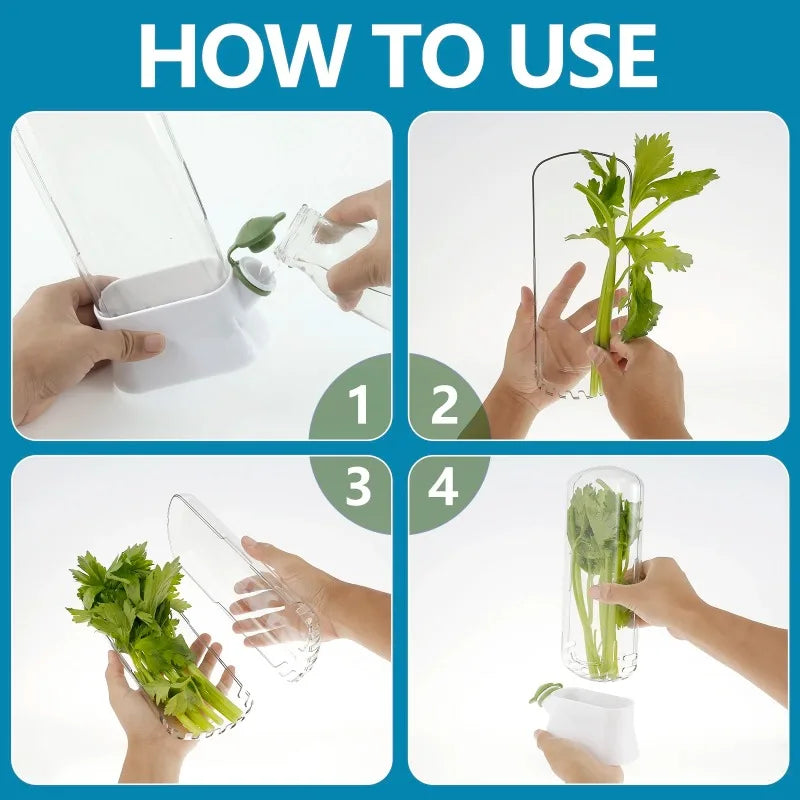 Cross-border Vanilla Vegetable Fresh-keeping Box Dust-proof Anti-pressure Environmental Protection Fresh-keeping Device Creative