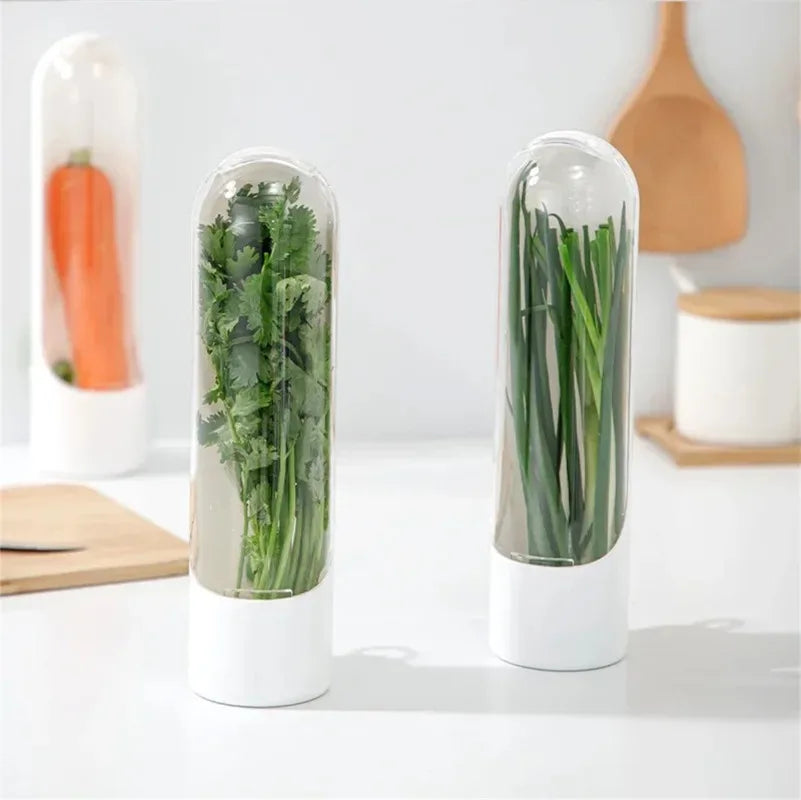 Cross-border Vanilla Vegetable Fresh-keeping Box Dust-proof Anti-pressure Environmental Protection Fresh-keeping Device Creative