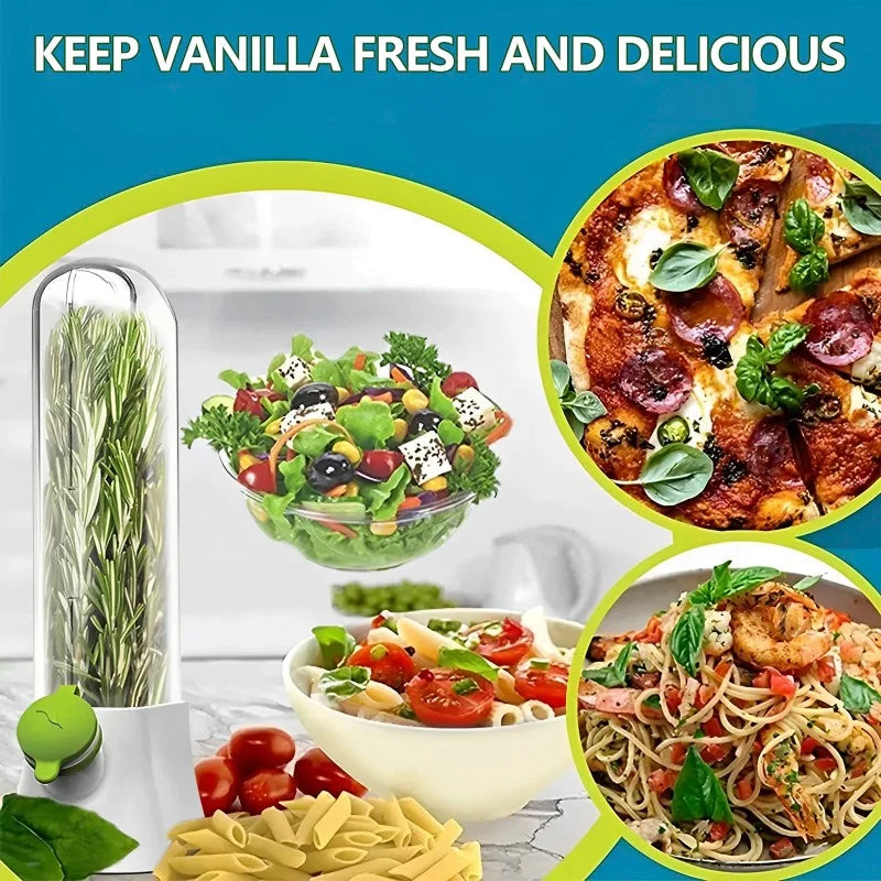 Cross-border Vanilla Vegetable Fresh-keeping Box Dust-proof Anti-pressure Environmental Protection Fresh-keeping Device Creative