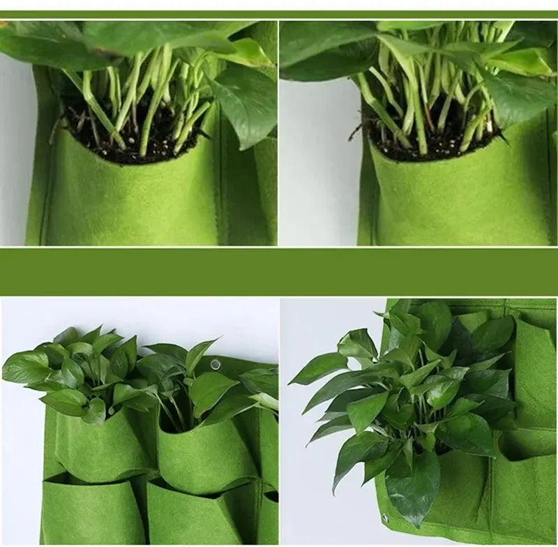 Painel para o Cultivo de Plantas