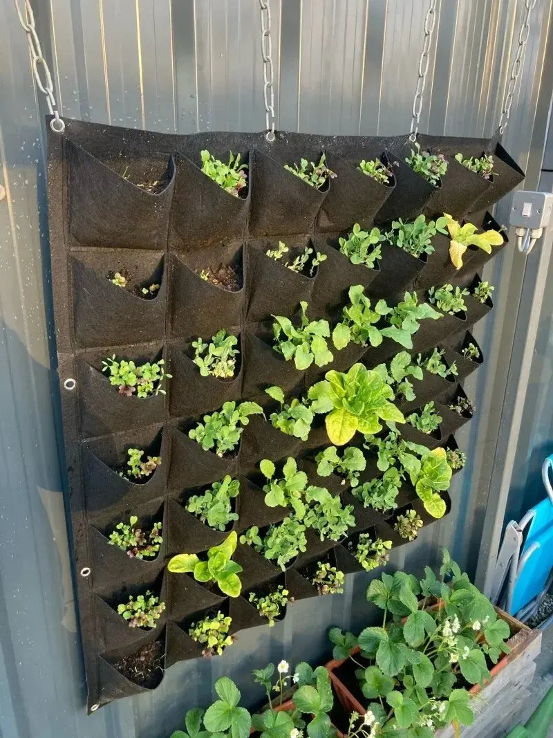 Painel para o Cultivo de Plantas