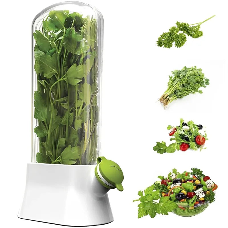 Cross-border Vanilla Vegetable Fresh-keeping Box Dust-proof Anti-pressure Environmental Protection Fresh-keeping Device Creative