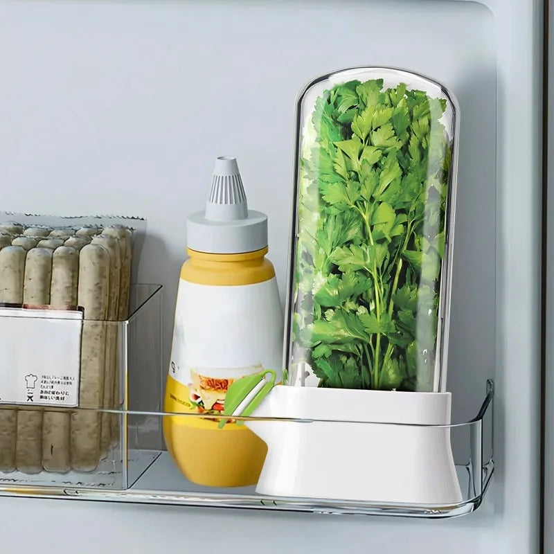 Cross-border Vanilla Vegetable Fresh-keeping Box Dust-proof Anti-pressure Environmental Protection Fresh-keeping Device Creative
