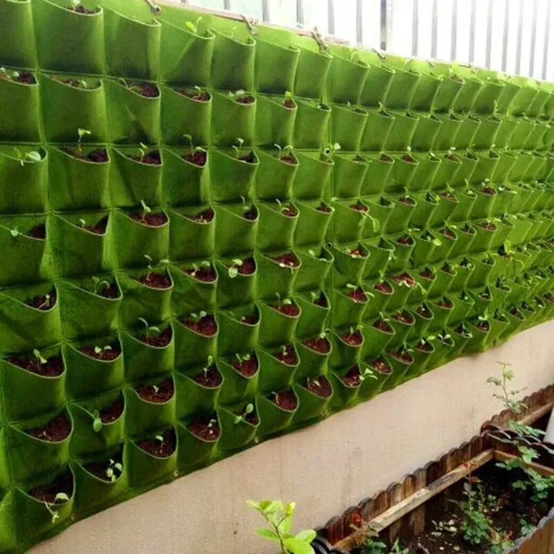 Painel para o Cultivo de Plantas