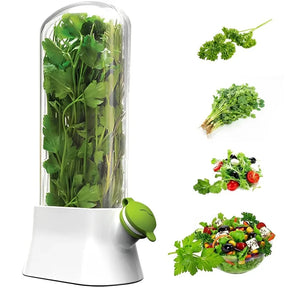 Cross-border Vanilla Vegetable Fresh-keeping Box Dust-proof Anti-pressure Environmental Protection Fresh-keeping Device Creative
