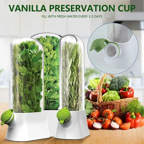 Cross-border Vanilla Vegetable Fresh-keeping Box Dust-proof Anti-pressure Environmental Protection Fresh-keeping Device Creative