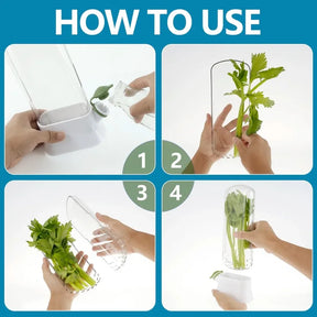 Cross-border Vanilla Vegetable Fresh-keeping Box Dust-proof Anti-pressure Environmental Protection Fresh-keeping Device Creative